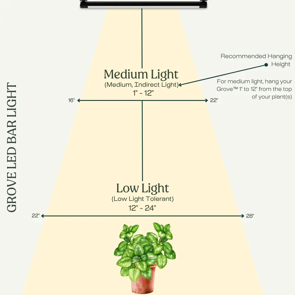 Grove_Hanging_Heights.webp